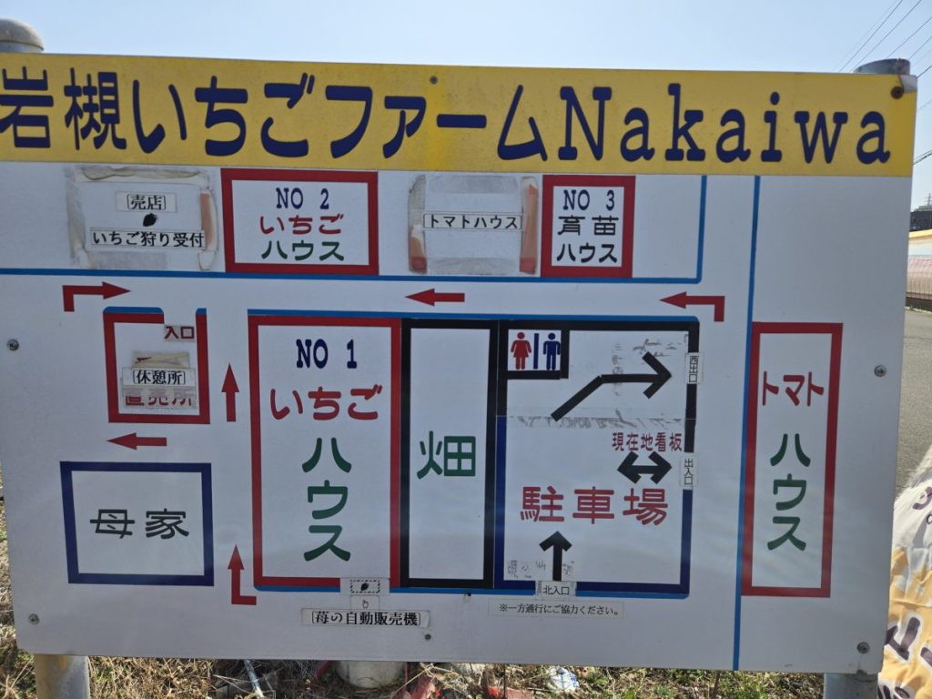 iwatsuki-ichigofarm_31