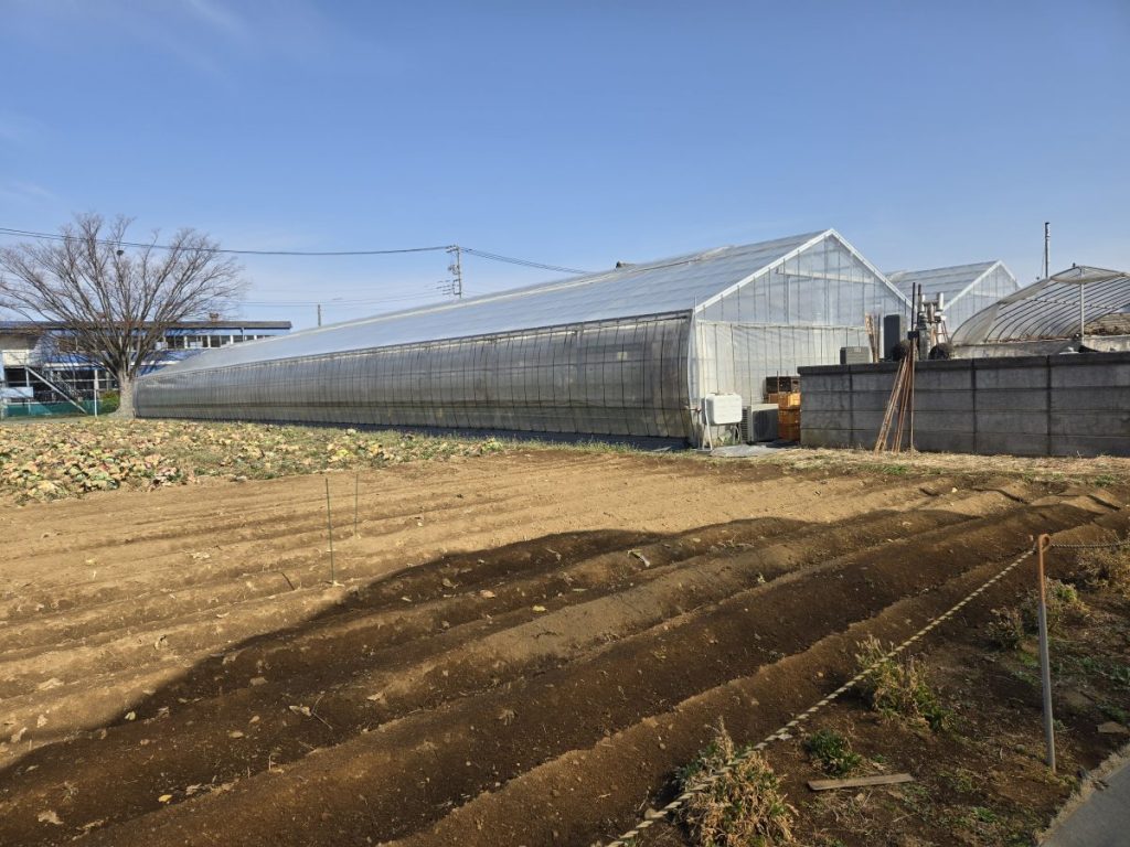 iwatsuki-ichigofarm_4