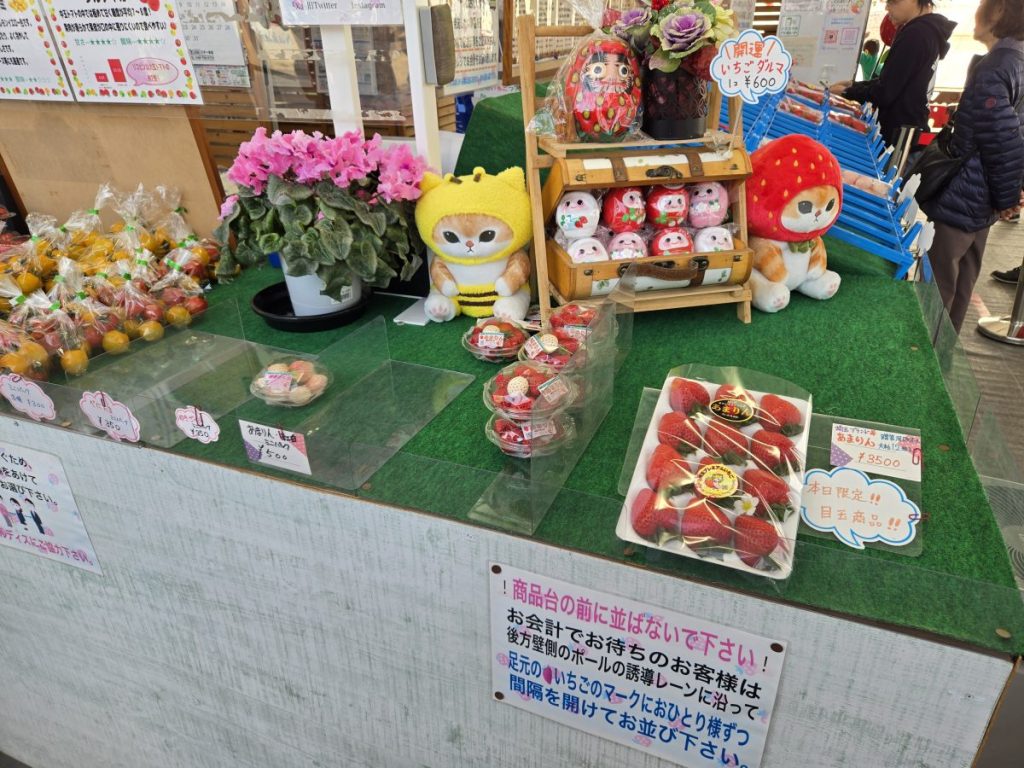 iwatsuki-ichigofarm_7